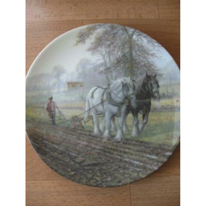 Fraai "Royal Doulton" wandsierbord, zie 4 scans + LEES !!!