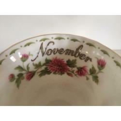 kop en schotel Royal Albert Flower of the month november