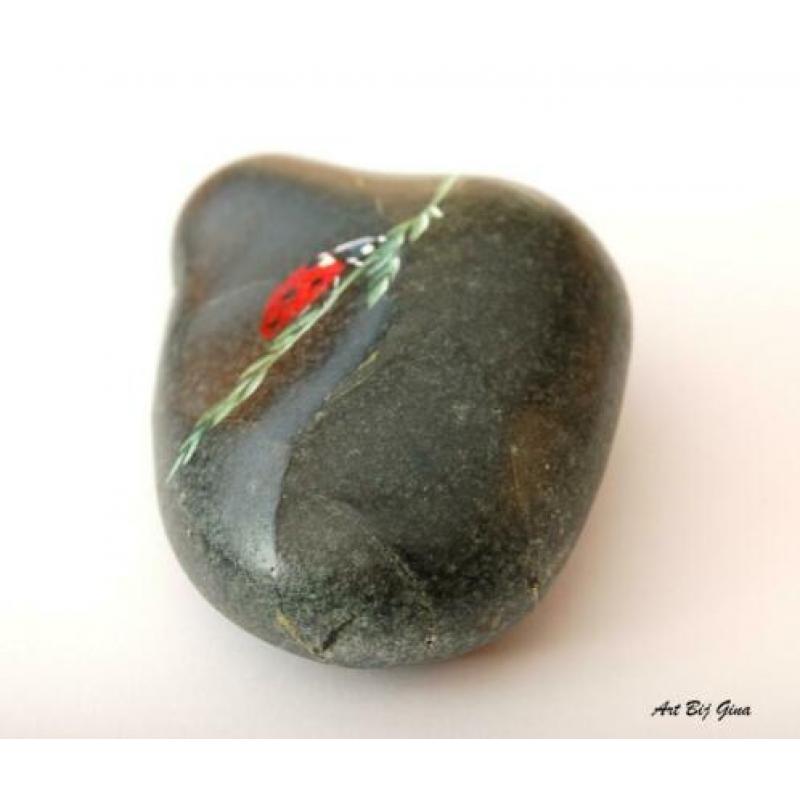 SALE! Rock-Art hand beschilderde steen , lieveheersbeestje