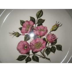 Gebakschaal Briar Rose Wedgwood of Etruria