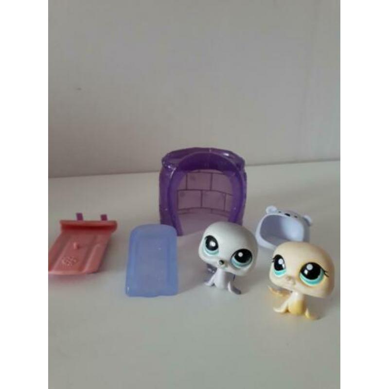 Little petshop