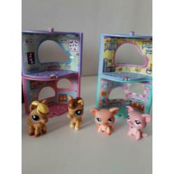 Little petshop