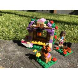 Lego friends 41031