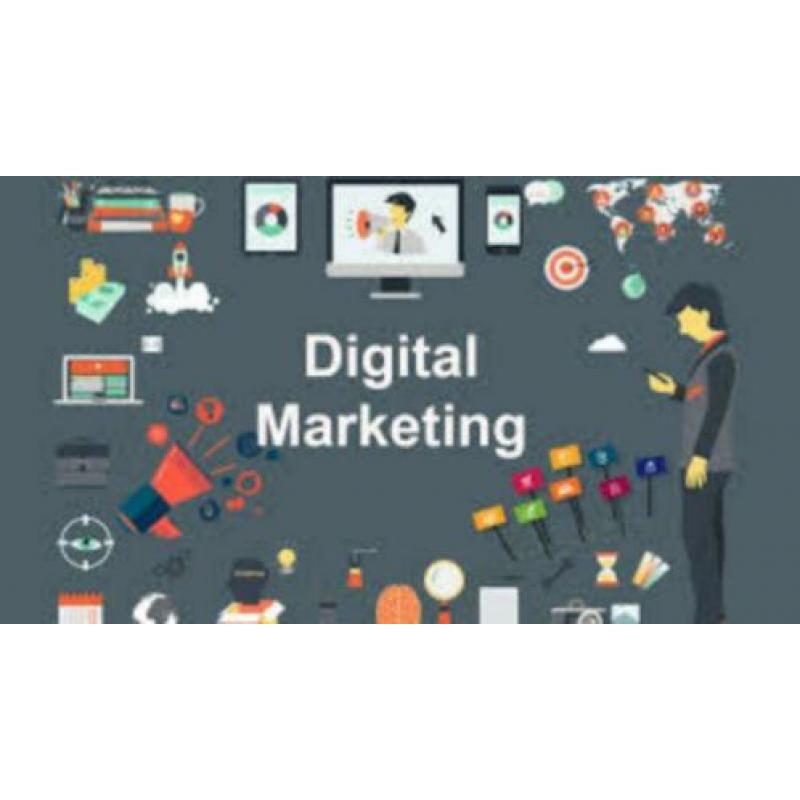 Professional Digital Marketing | SEO | PPC | Website Design