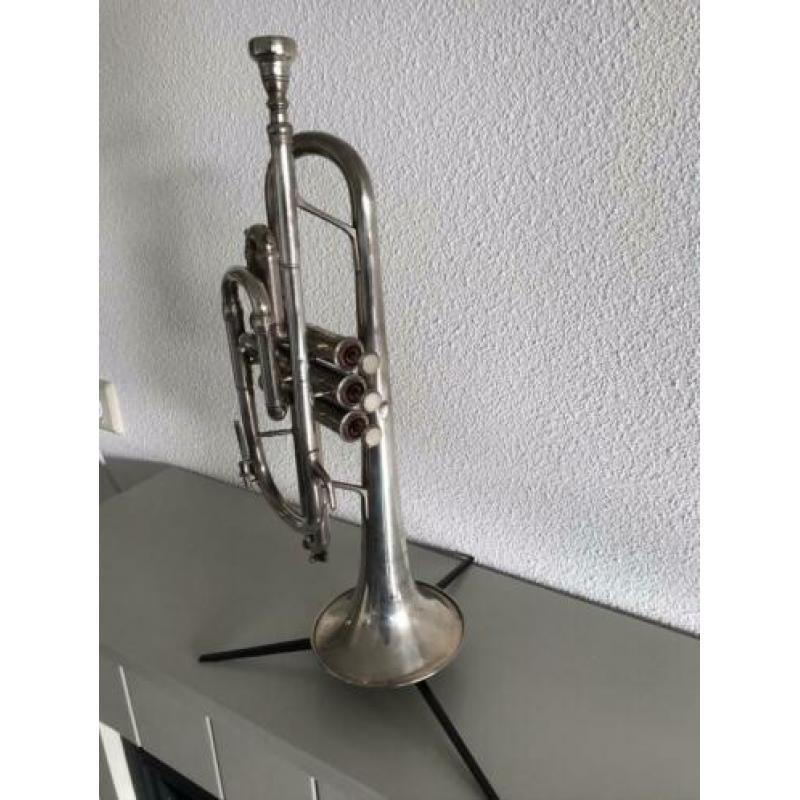 Cantarini cornet 43 cm inclusief koffer