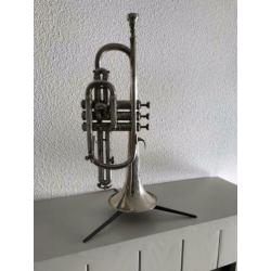 Cantarini cornet 43 cm inclusief koffer