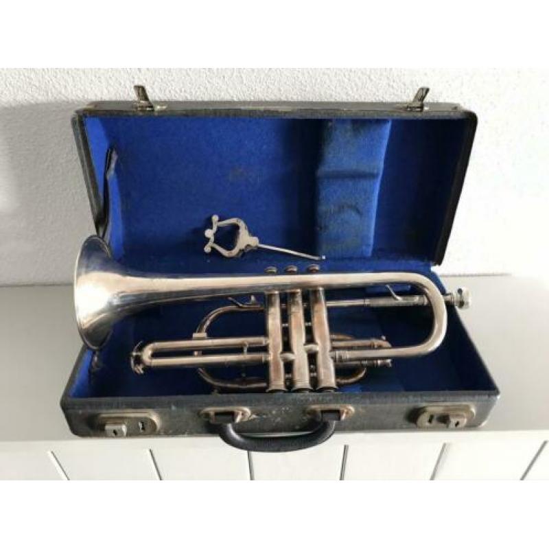 Cantarini cornet 43 cm inclusief koffer